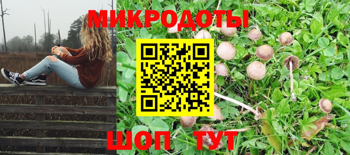 Галлюциногенные грибы ЛСД  Вход с VPN  Нальчик  Галлюциногенные грибы мицелий 