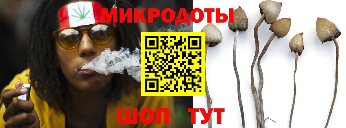 Псилоцибиновые грибы мицелий Нальчик